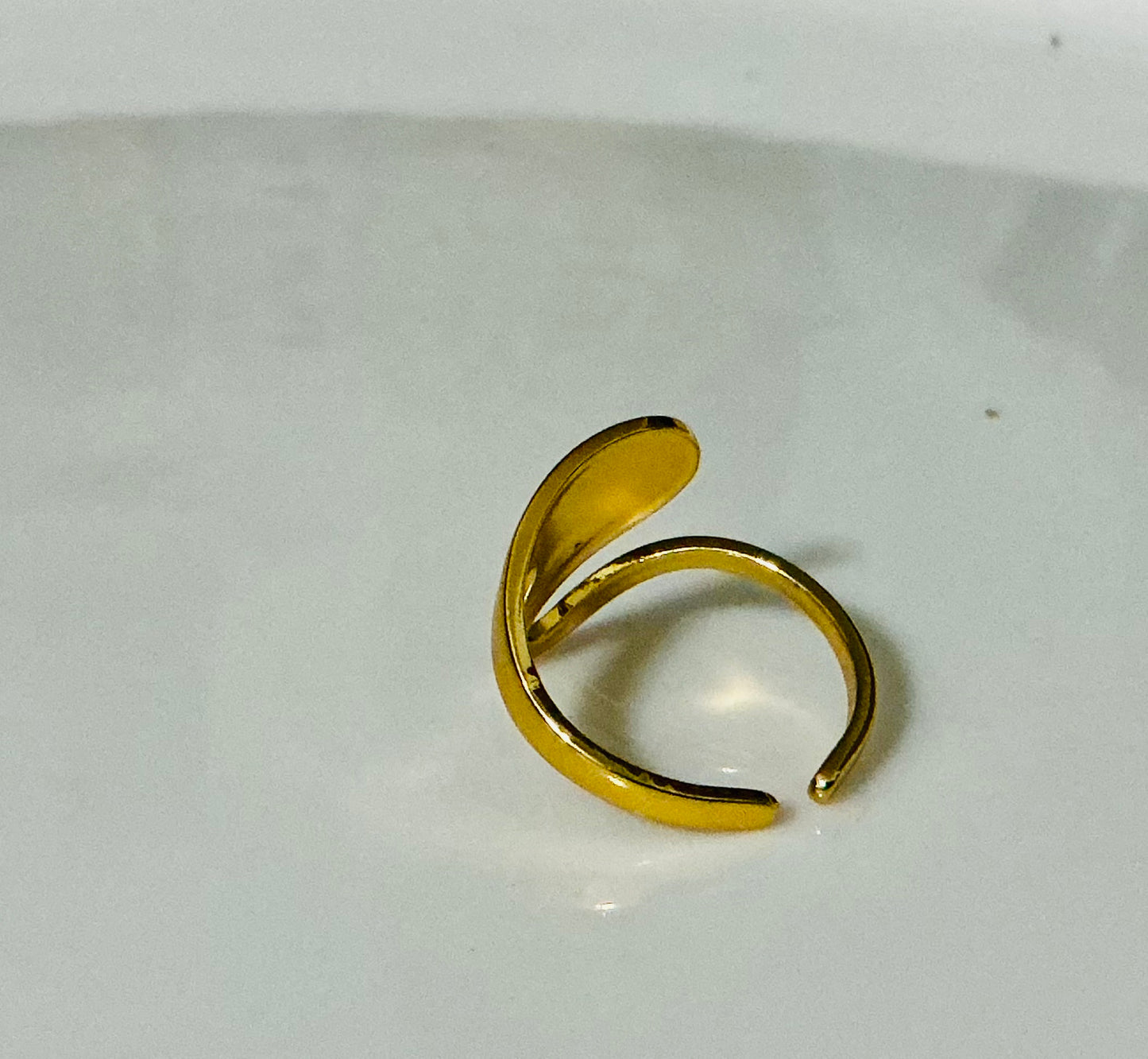 Ring Jewelry Accessory