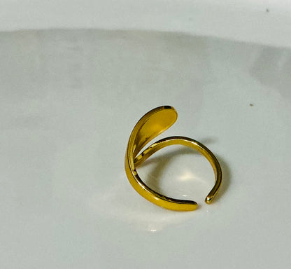 Ring Jewelry Accessory